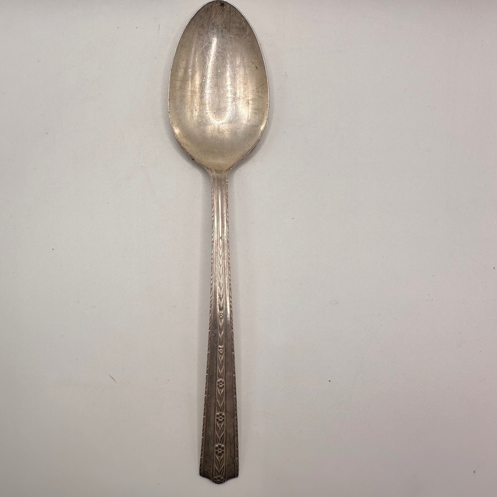 Vintage WALLACE BROS Silver Plate AA 1 Large serving Spoon (8.5") Larkspur